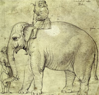 象飯能 作： Raffaello Sanzio Raphael